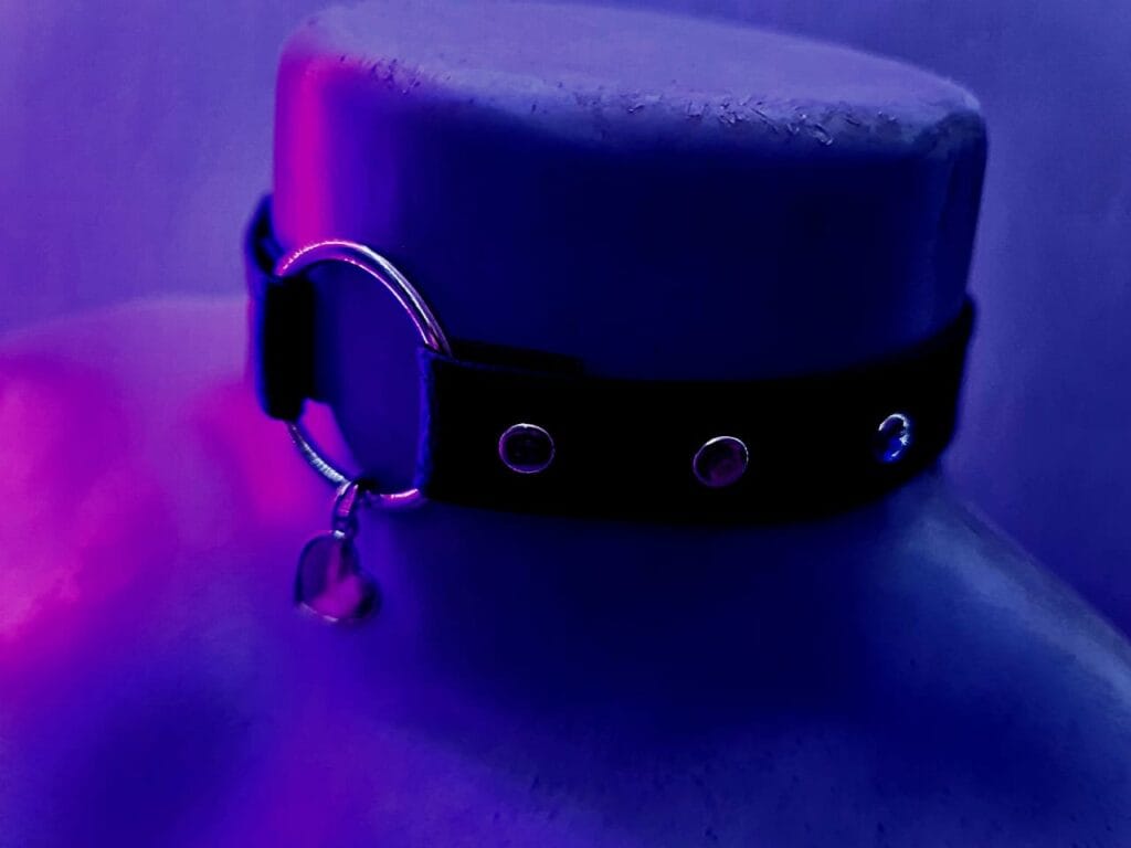 Sweetheart Collar By Punk Pixie Bound - Cape Town - South Africa