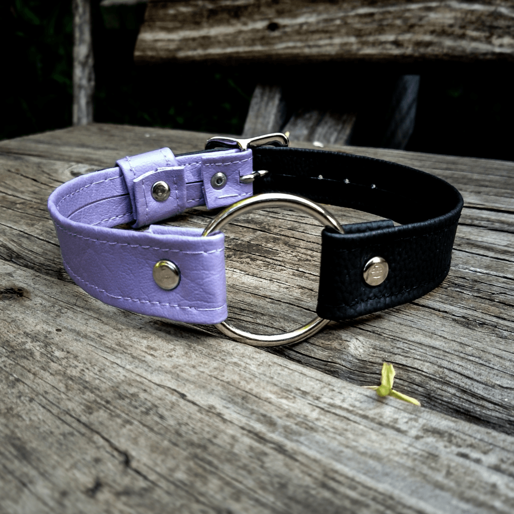 Jawbreaker collar - vegan leather accessories - Cape Town
