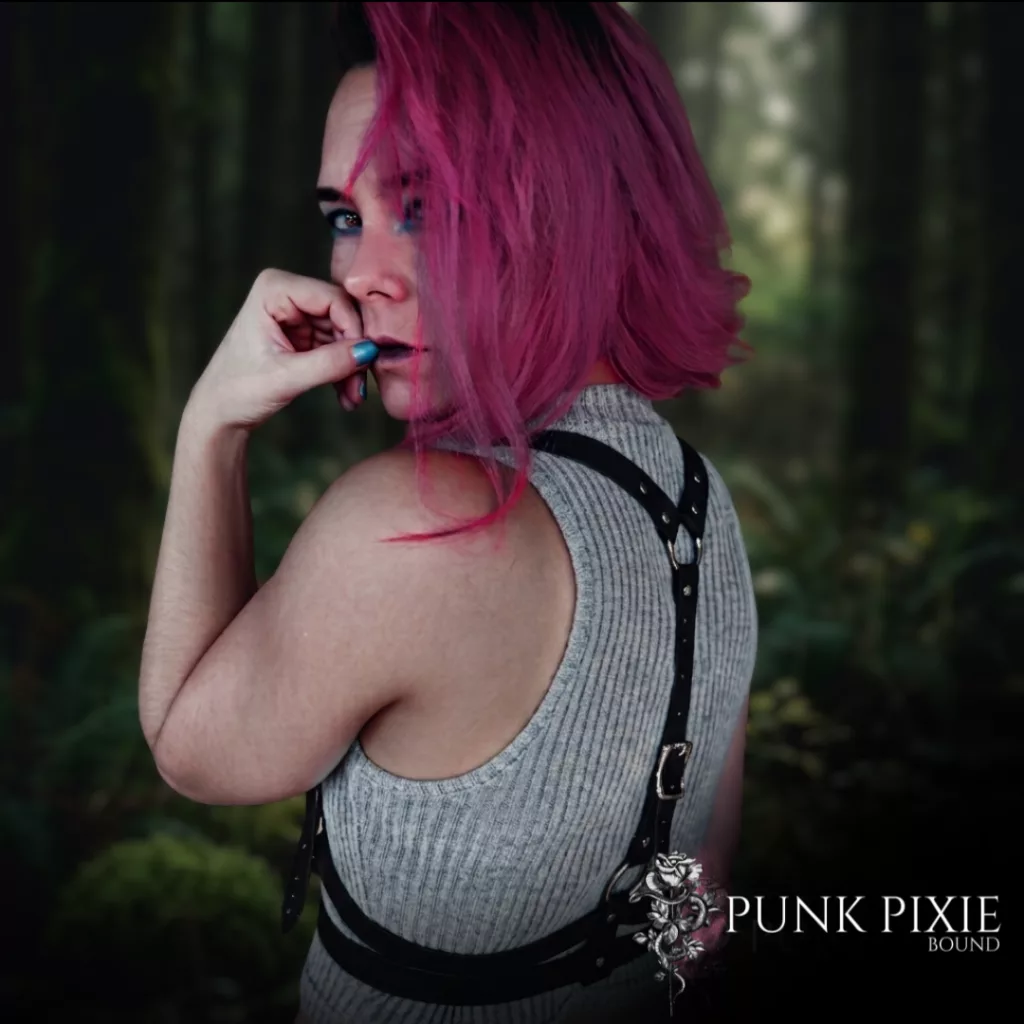 Pandemic Harness