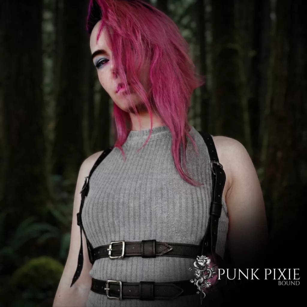 Pandemic Harness